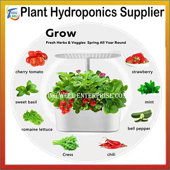 Plant Hydroponics Supplierm,hydroponic equipment